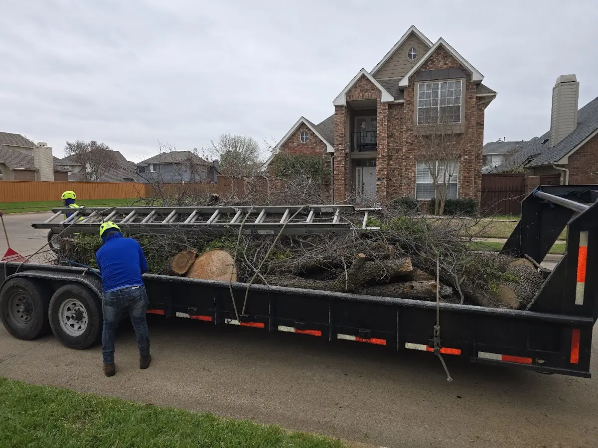 Expert Crown Reduction with proper safety equipment in Sedalia